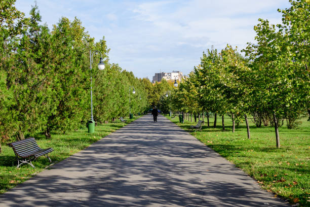 Morning walk through a green urban park path